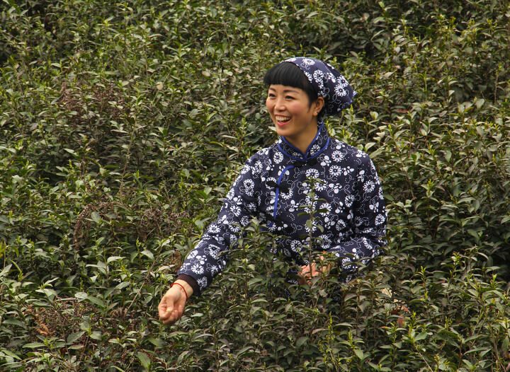 香烟与谎言